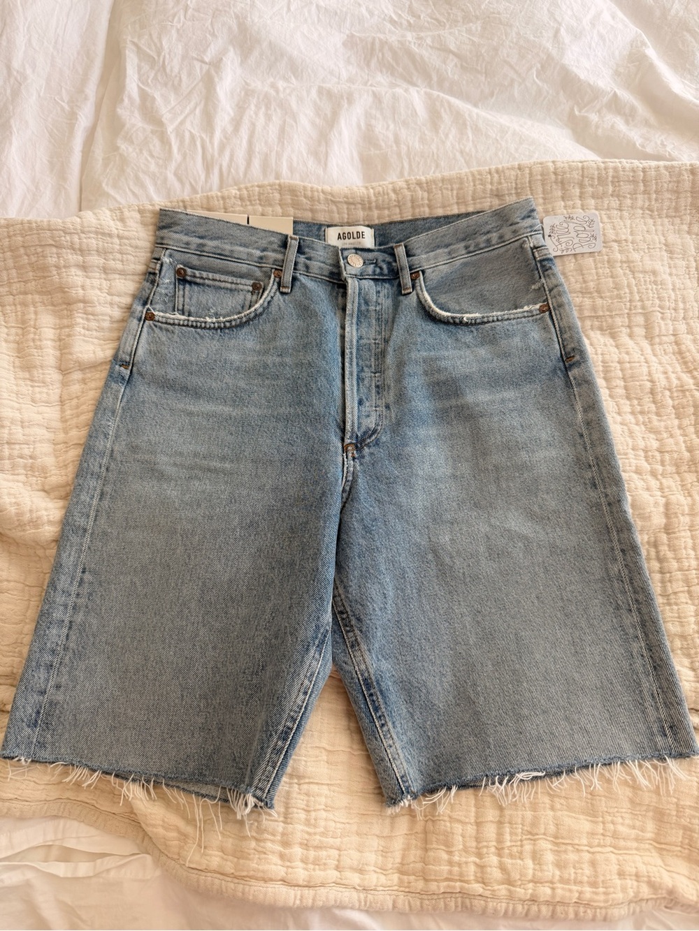 Agolde 90s Riptide Mid Rise Loose Denim Short